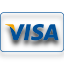 Secure Visa payments via Paypal