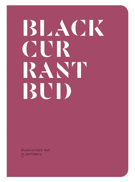 NEZ and LMR - Blackcurrent Bud
