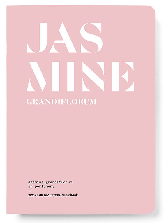 NEZ and LMR - Jasmine Grandiflorum