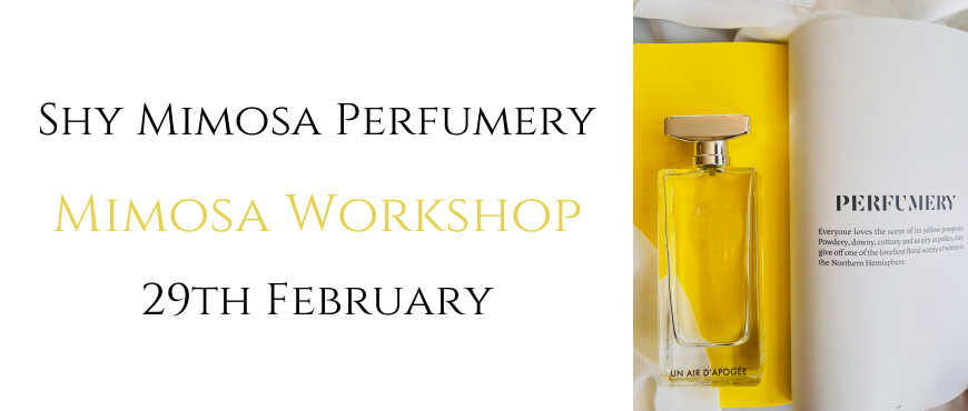 Mimosa Workshop